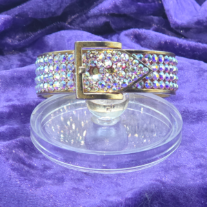 Gold Buckle & Crystal Bracelet